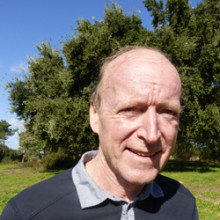 Heinrich Spiecker